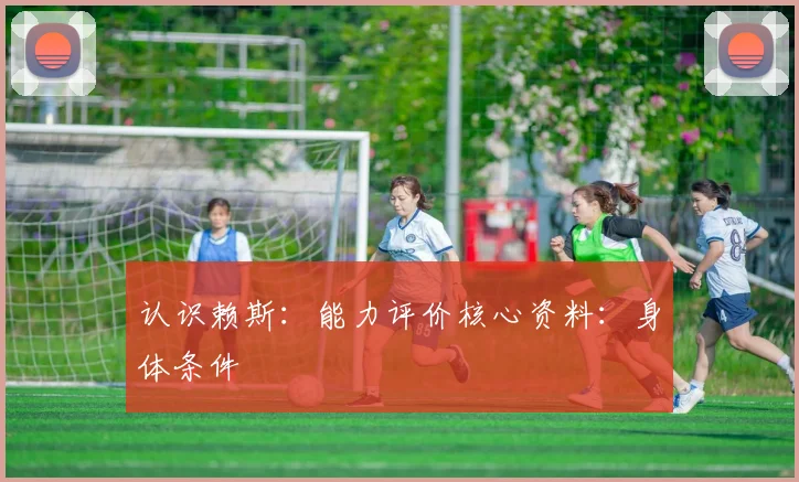 认识赖斯：能力评价核心资料：身体条件
