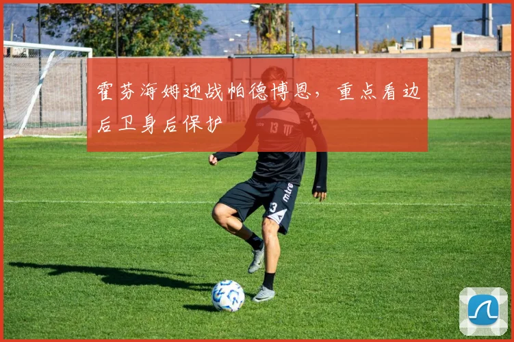 霍芬海姆迎战帕德博恩，重点看边后卫身后保护