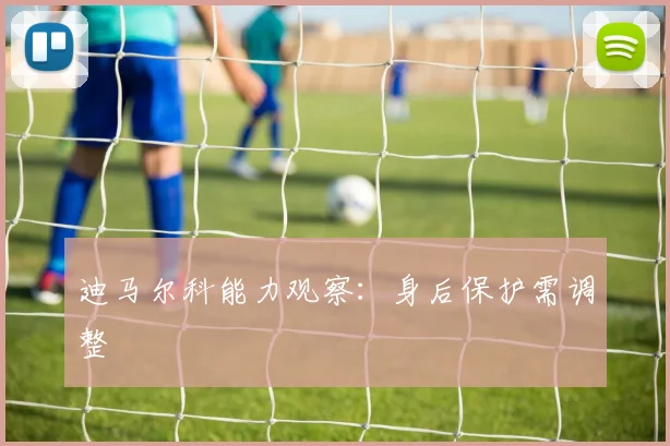迪马尔科能力观察：身后保护需调整